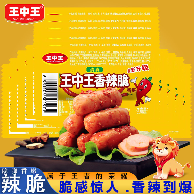 王中王資料一y肖中，深度解析與探索，王中王資料一y肖中深度解析與探索揭秘