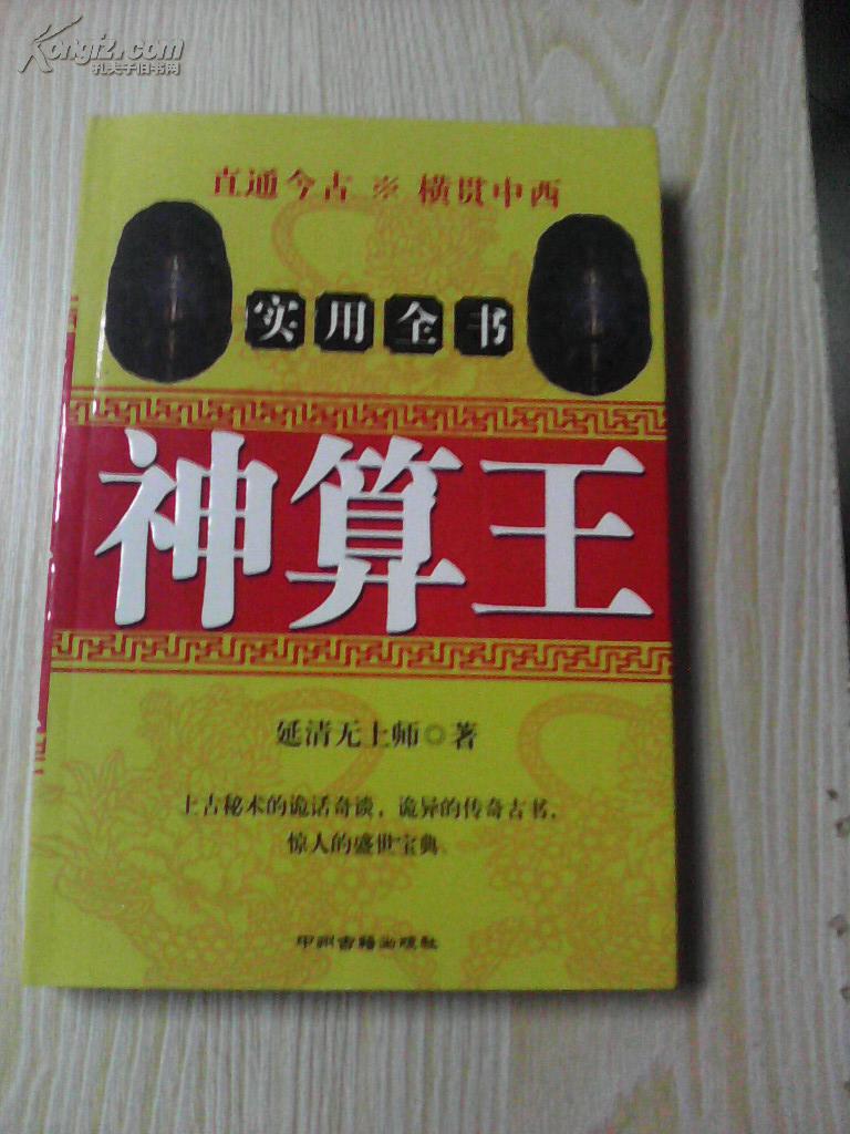 王中王資料一肖中特，揭秘神秘神算子背后的故事，揭秘神算子背后的故事，王中王資料一肖中特傳奇