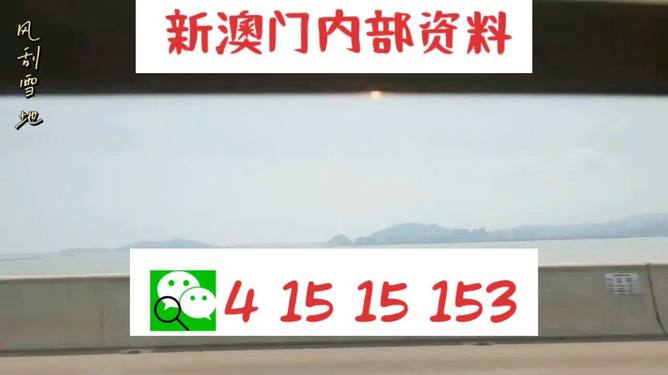 新澳2025最新資料生肖，深度解析與預(yù)測展望，新澳2025最新生肖資料深度解析與未來預(yù)測展望