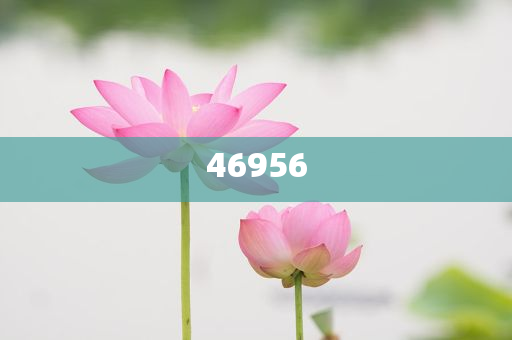 新奧集團(tuán)，邁向2025，天天開(kāi)好彩的愿景與挑戰(zhàn)，新奧集團(tuán)邁向2025，實(shí)現(xiàn)天天開(kāi)好彩的愿景與挑戰(zhàn)