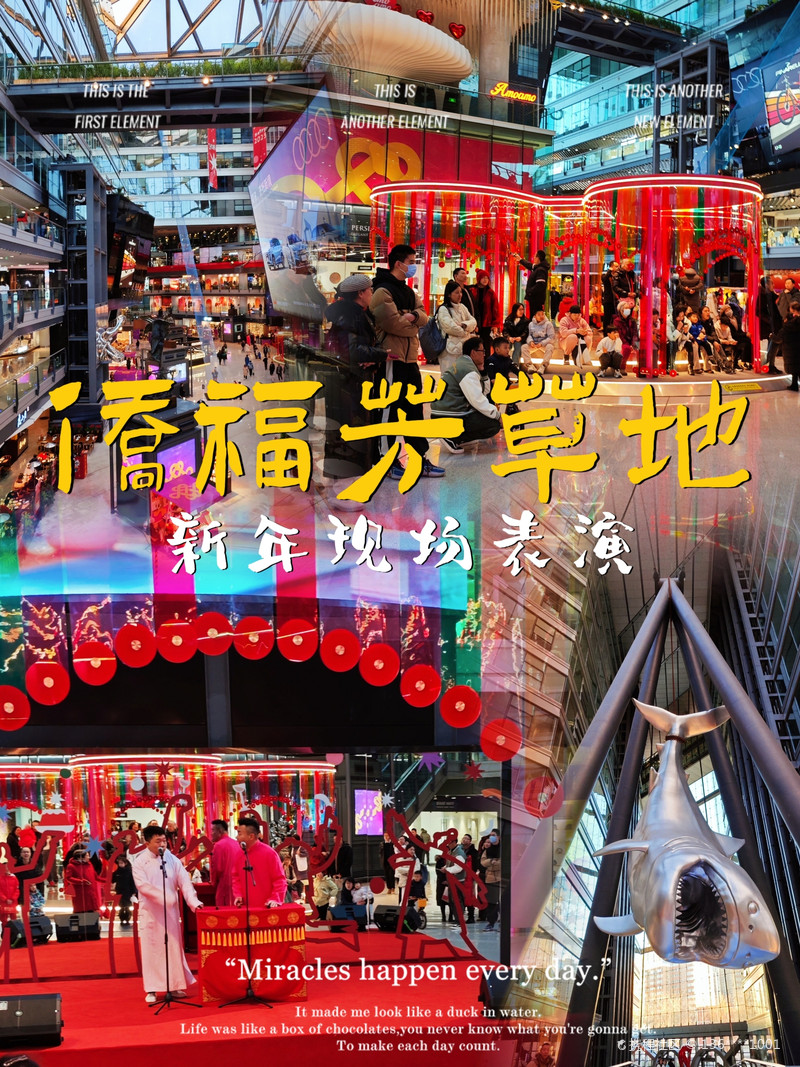 最新揭秘，2024新澳芳草地全方位資料詳解，揭秘2024新澳芳草地全方位資料，最新詳解
