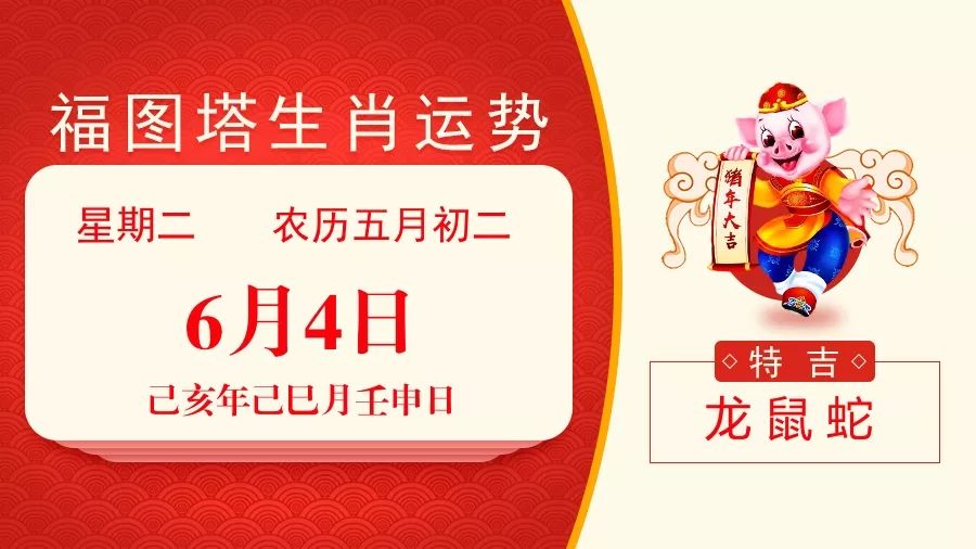 新澳特碼，羊?；⒏鲾?shù)10的獨(dú)特魅力與解析，新澳特碼，羊?；⒏鲾?shù)10的獨(dú)特魅力深度解析
