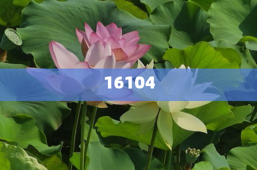 新奧600圖庫(kù)2025，探索與前瞻，新奧600圖庫(kù)2025，深度探索與未來(lái)展望