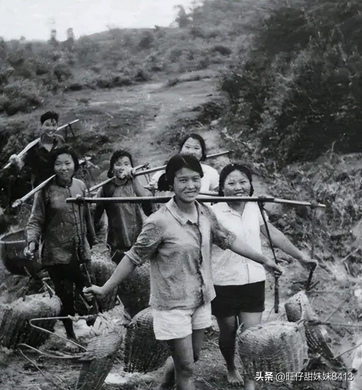 關(guān)于49圖庫(kù)圖片資料的全面解析與探索，49圖庫(kù)圖片資料深度解析與探索