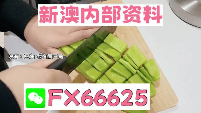 新澳精準(zhǔn)資料免費提供，探索與解析，新澳精準(zhǔn)資料解析與探索，免費提供的深度解讀