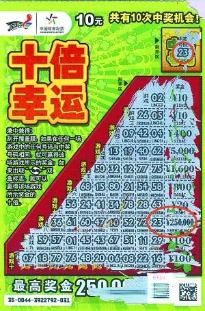 王中王平特一肖好彩頭——揭秘好運背后的秘密，揭秘好運背后的秘密，王中王平特一肖好彩頭解析