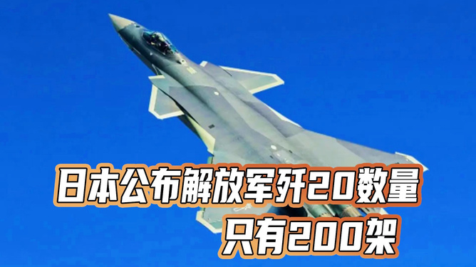 關(guān)于日本公布?xì)?20數(shù)量的探討，日本公布?xì)?20數(shù)量的深度探討