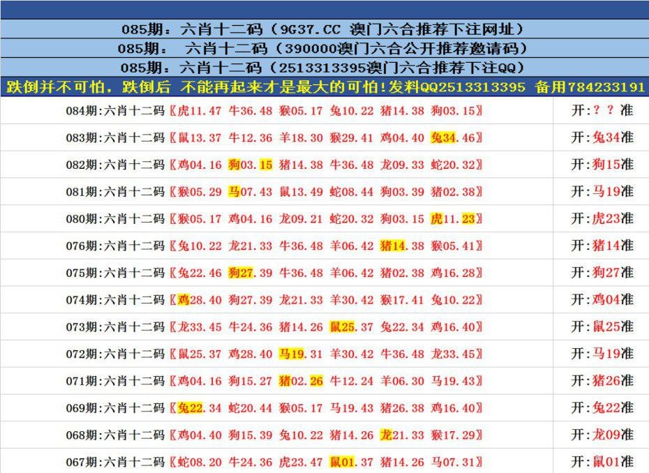 澳門六合正版資料，深度解析與探索，澳門六合正版資料深度解析與探索之旅