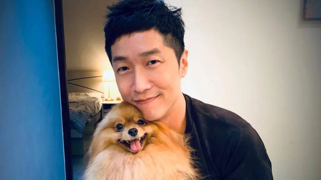 香港四不像劉伯溫必中一肖——揭秘彩票背后的秘密，揭秘彩票背后的秘密，劉伯溫四不像預(yù)測(cè)與香港必中生肖彩票解析