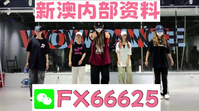 新奧天天免費(fèi)資料大全——探索與優(yōu)化的SEO之旅，新奧天天免費(fèi)資料大全，SEO探索與優(yōu)化之旅