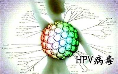 HPV病毒能否徹底清除？深度解析與應對策略，深度解析HPV病毒能否徹底清除，應對策略及應對方法