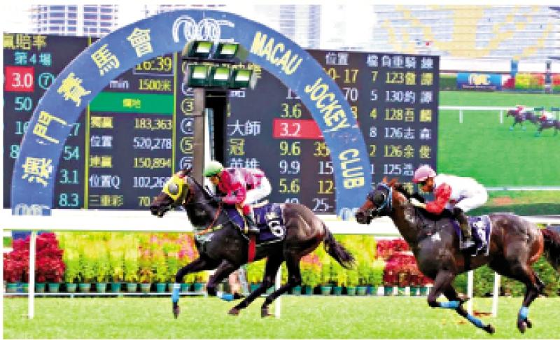 澳門賽馬會，歷史、文化與激情的交融，澳門賽馬會，歷史、文化與激情的盛會
