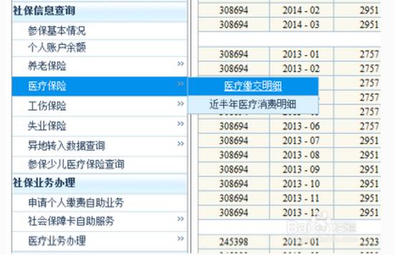 2025新澳門歷史記錄查詢完全指南，澳門歷史記錄查詢完全指南（2025版）
