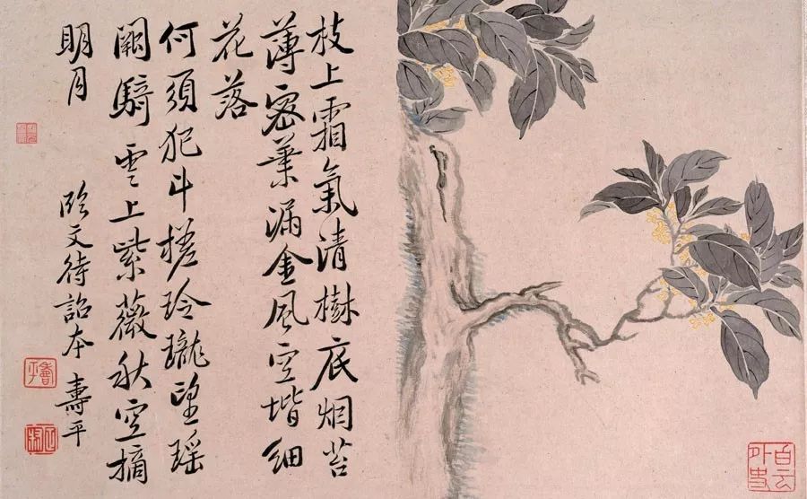 世外挑園，揭秘劉伯溫一肖的神秘魅力，揭秘劉伯溫一肖的神秘魅力，世外挑園之旅