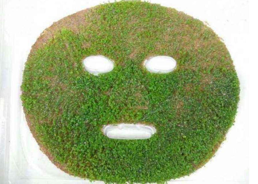 海藻面膜可以天天敷嗎？——深度解析海藻面膜的使用頻率與注意事項(xiàng)，海藻面膜的使用頻率與注意事項(xiàng)解析，能否天天敷海藻面膜？