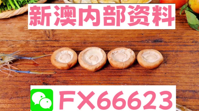 新澳全年免費(fèi)資料大全——探索與學(xué)習(xí)資源的寶庫，新澳全年免費(fèi)資料大全，探索與學(xué)習(xí)資源的終極寶庫