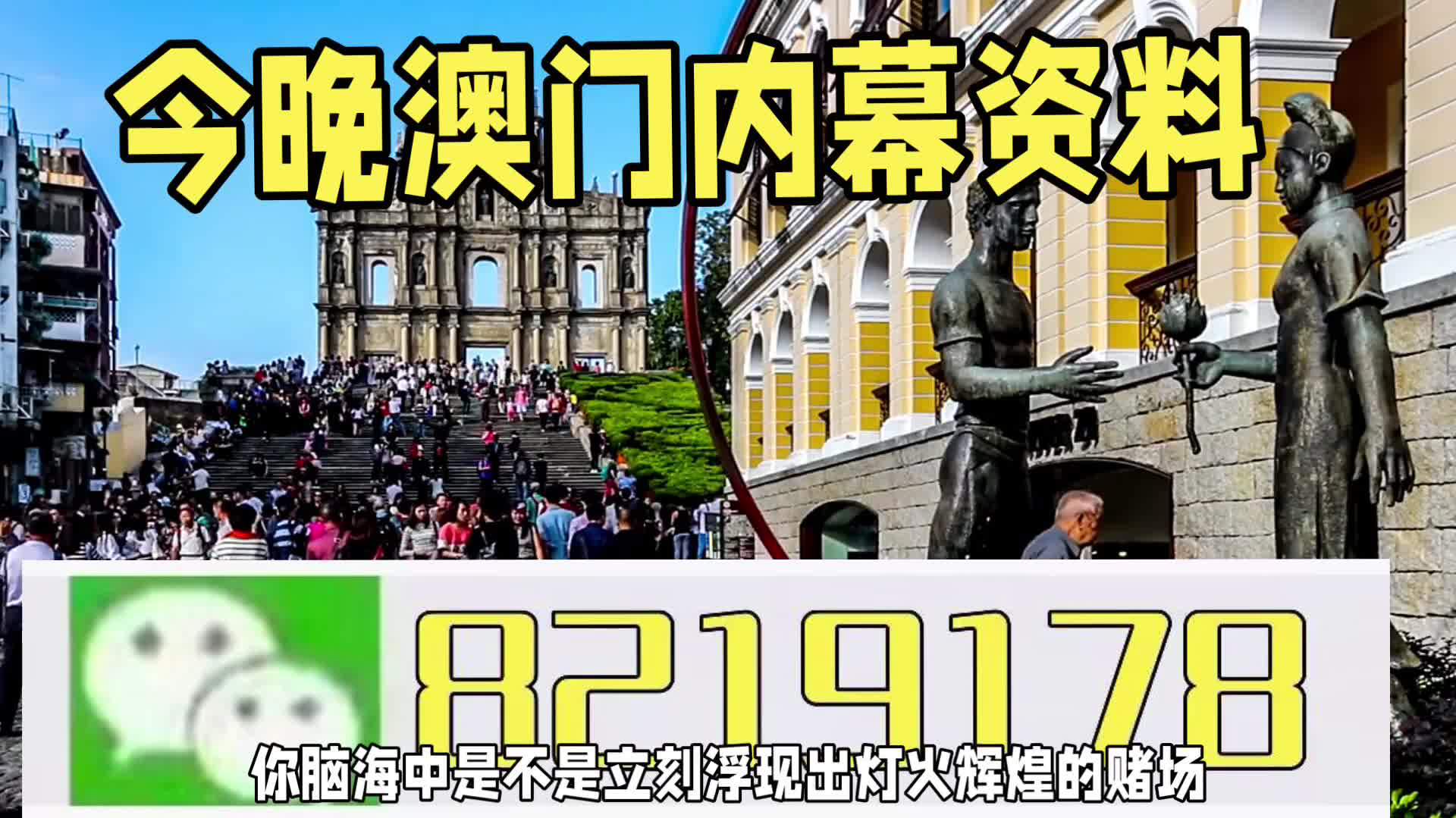 新澳門一肖一特一中，探索與解讀，新澳門一肖一特一中，深度探索與解讀