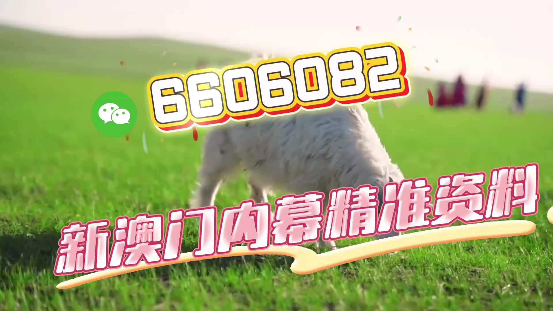 澳門一肖一碼準選今晚，揭秘彩票預測的秘密與策略，澳門彩票預測揭秘，今晚一肖一碼準選策略與秘密