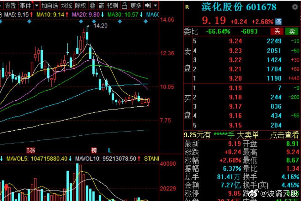 濱化股份股票，深度解析與前景展望，濱化股份股票深度解析及前景展望