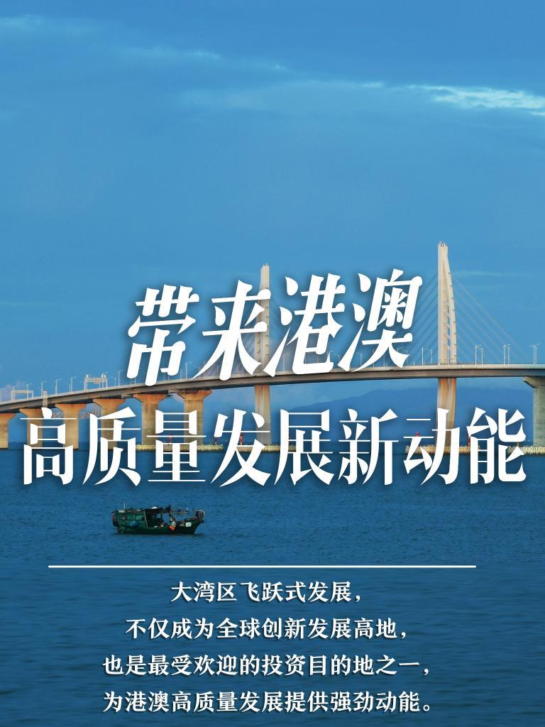 揭秘2025年新澳門必開32期一肖——探尋彩票奧秘與策略，揭秘彩票奧秘，探尋新澳門必開生肖彩票策略與預(yù)測（附獨家分析）