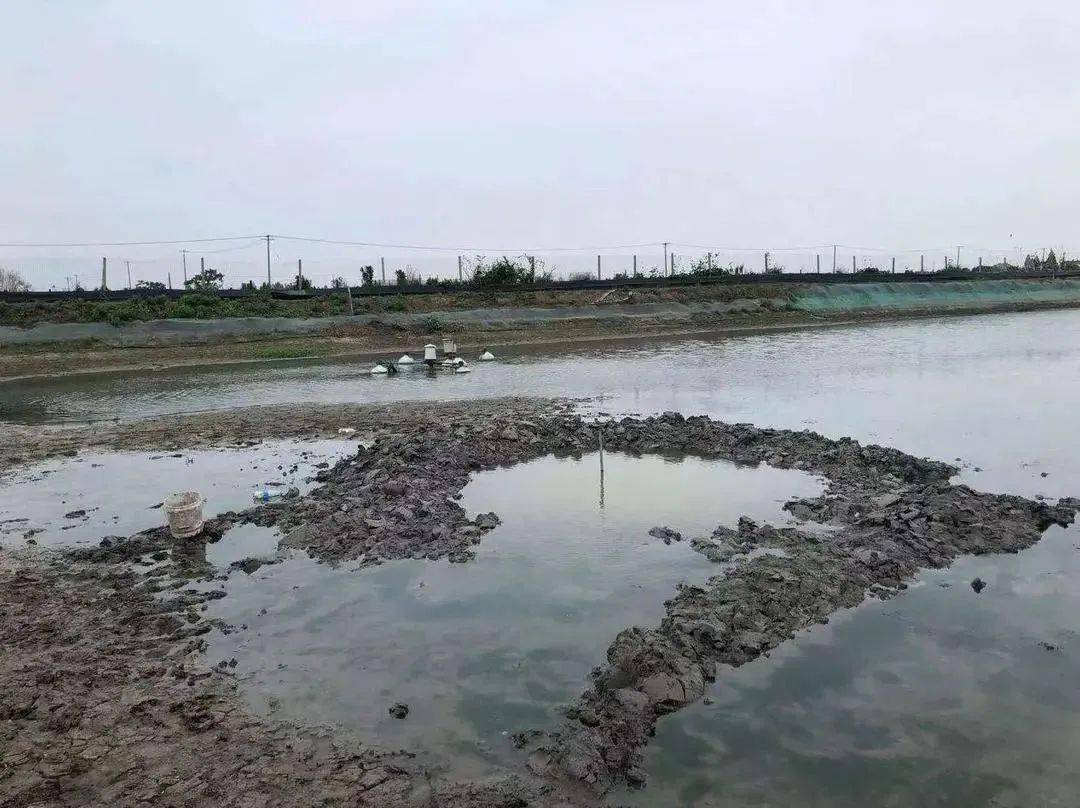 澳門六局中局開獎結(jié)果查詢，輕松掌握最新開獎動態(tài)，澳門六局最新開獎結(jié)果實時查詢，輕松掌握最新動態(tài)