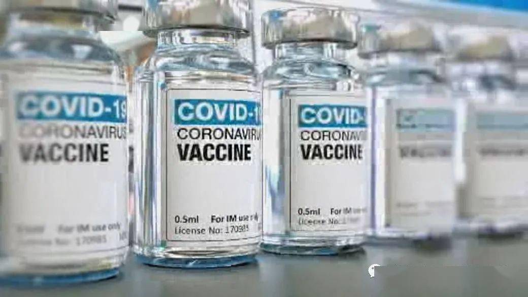 王中王解一肖特，揭秘生肖魅力與獨特之處，揭秘生肖魅力與獨特之處，王中王解讀一肖特