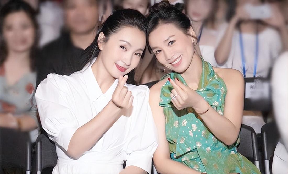 陶虹張庭事件，深度解析背后的真相與影響，陶虹張庭事件深度揭秘，真相與影響探究