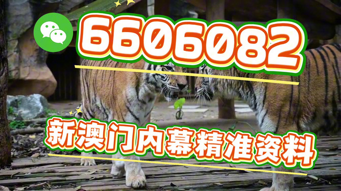 澳門今晚必開一肖一特，探索生肖彩票的魅力與預測，澳門生肖彩票探索，魅力揭秘與今晚預測一肖一特