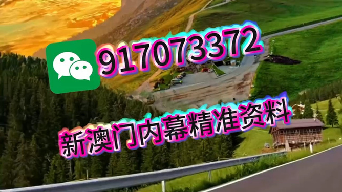 王中王澳門特肖一馬，探索關鍵詞背后的故事與奧秘，王中王澳門特肖一馬，揭秘關鍵詞背后的故事與奧秘