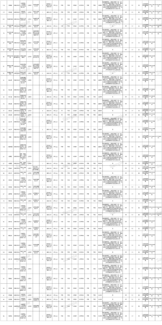 澳門 第113頁