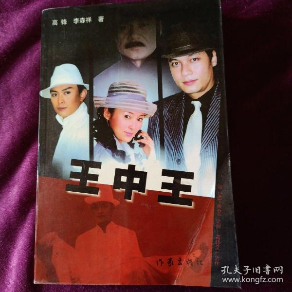 王中王資料一肖中特管系，深度解析與探索，王中王資料一肖中特管系深度解析與探索報告