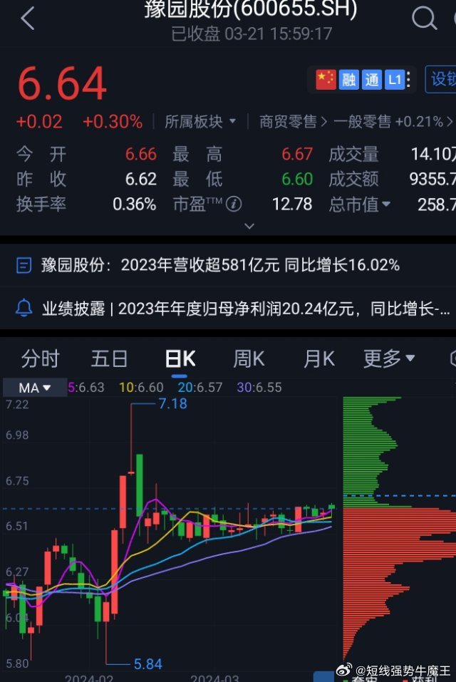 豫園股份股票，深度解析與前景展望，豫園股份股票深度解析及前景展望