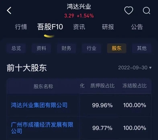 鴻達(dá)股份股票，深度解析與前景展望，鴻達(dá)股份股票深度解析及未來前景展望