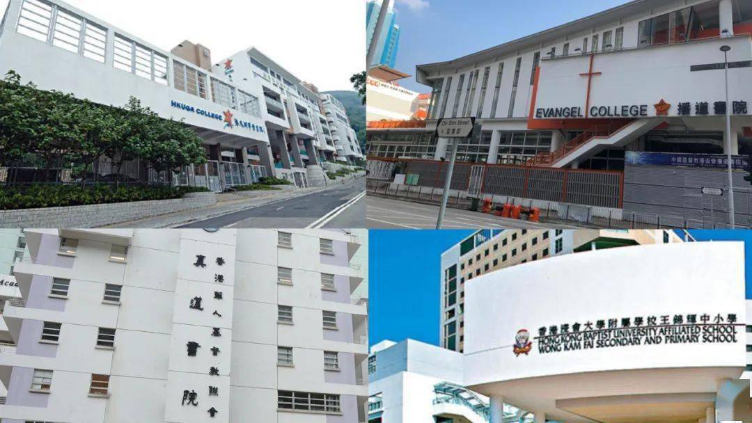 香港免費(fèi)公開資料大全，探索無(wú)盡的資源寶庫(kù)，香港免費(fèi)公開資料寶庫(kù)，無(wú)盡資源探索之旅