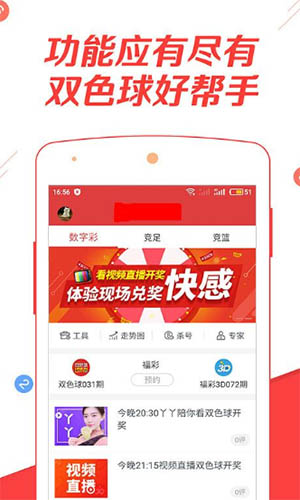 探索前沿資訊，2019王中王論壇與Q一肖中特論壇的獨特魅力，前沿資訊深度探索，王中王論壇與Q一肖中特論壇的獨特風采