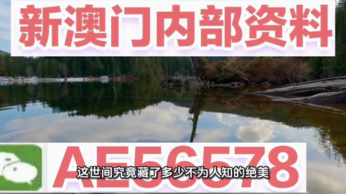揭秘澳門精準(zhǔn)四不像，預(yù)測未來的趨勢與探索（2025展望），澳門精準(zhǔn)四不像揭秘，未來趨勢展望與探索（2025年預(yù)測）