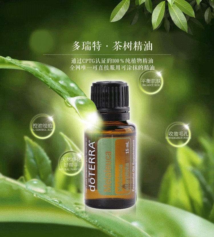 茶樹精油的功效與作用，深入了解茶樹精油的多元價值，茶樹精油多元價值揭秘，功效與作用詳解