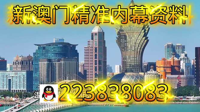 新澳門最快開獎直播，實時體驗與策略解析，澳門最新開獎直播，實時體驗與策略深度解析