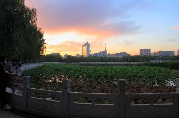 北京值得去的公園排行，探索城市中的綠色寶藏，北京必游公園排行榜，探尋城市中的綠意秘境