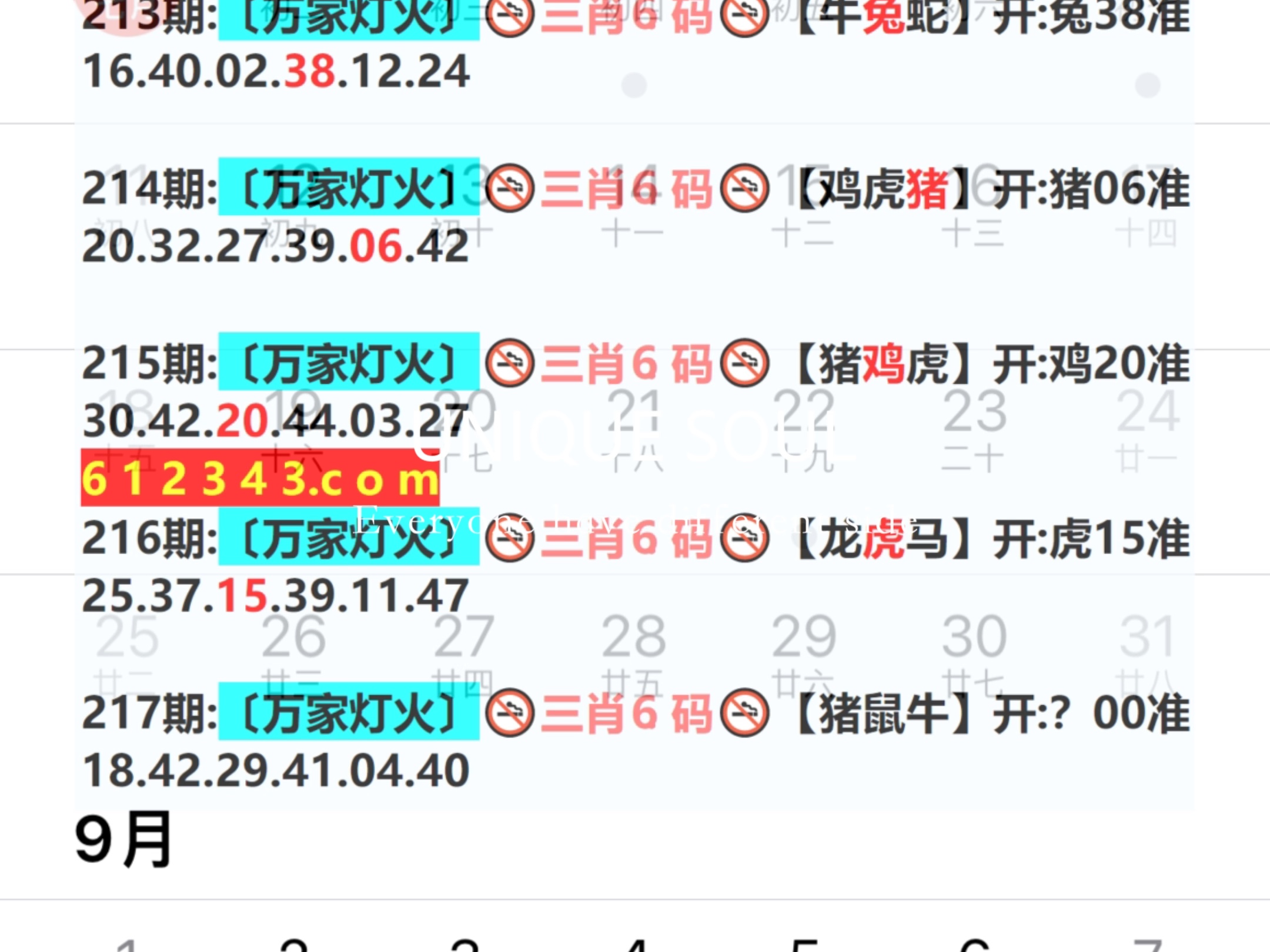揭秘2025年新澳門王中王資料，全方位解讀與預(yù)測，揭秘與預(yù)測，2025年新澳門王中王全方位解讀與趨勢展望