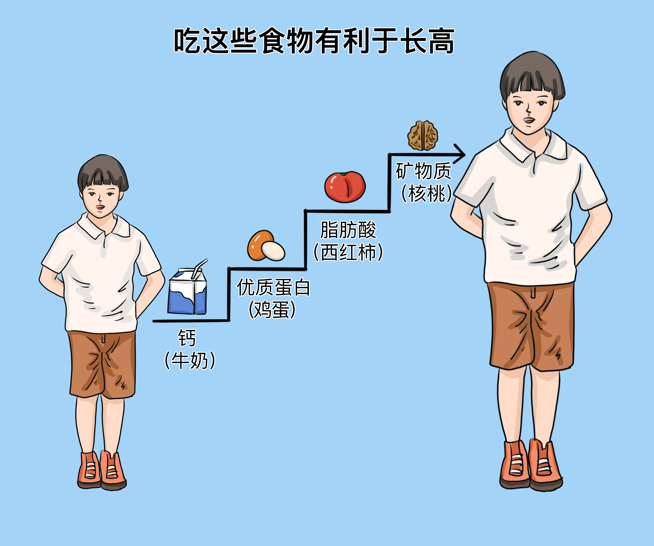 什么食物吃猛長高——助力生長發(fā)育的食物指南，助力生長發(fā)育，猛長高的食物指南