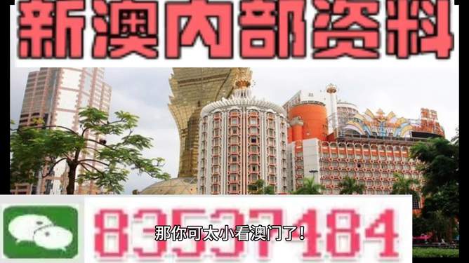 新澳新澳門正版資料，探索與解析，新澳新澳門正版資料深度解析與探索