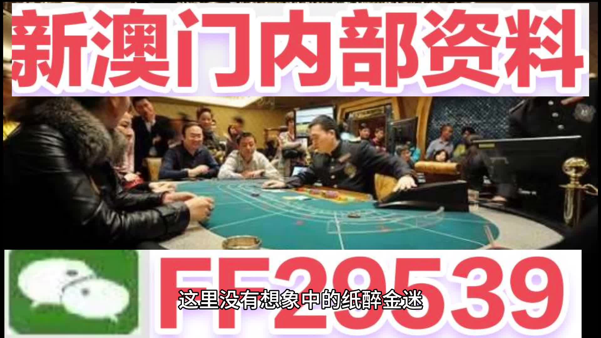 澳門特馬今晚開(kāi)獎(jiǎng)香港——探索彩票背后的故事與未來(lái)展望，澳門特馬與香港彩票，背后的故事及未來(lái)展望