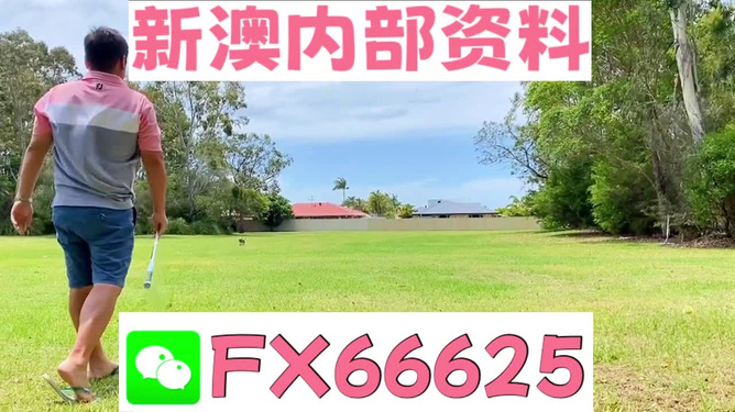 王中王一肖一嗎期期中，深度解析與SEO優(yōu)化策略，王中王一肖一期的深度解析與SEO優(yōu)化策略探討