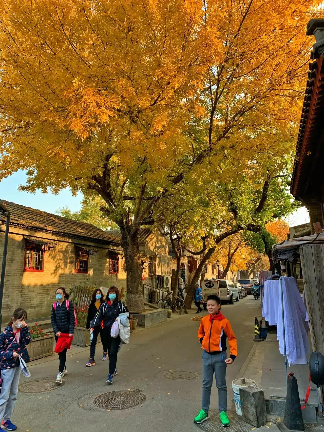 冬天北京一日游最佳景點(diǎn)攻略，北京冬季一日游最佳景點(diǎn)攻略