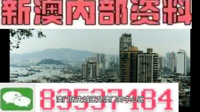 澳門免費精準(zhǔn)大全4949，探索最新資訊與實用指南，澳門最新資訊與實用指南，免費精準(zhǔn)大全4949