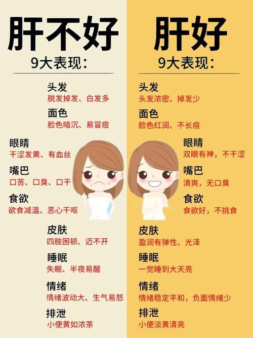 肝不好有哪些癥狀，全面解析肝臟健康警示信號(hào)，肝臟健康警示信號(hào)解析，癥狀表現(xiàn)與肝臟健康關(guān)系全面解讀