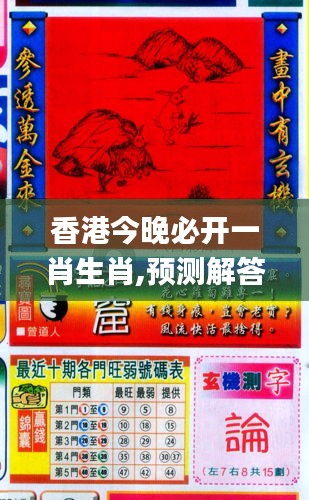 香港與彩王中王精準(zhǔn)一肖，揭秘彩票背后的秘密，揭秘彩票背后的秘密，香港與彩王中王精準(zhǔn)一肖探究