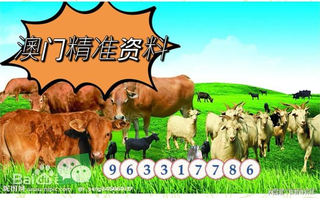 今晚特馬生肖必開(kāi)資料，揭秘生肖運(yùn)勢(shì)與預(yù)測(cè)秘密，揭秘生肖運(yùn)勢(shì)預(yù)測(cè)，今晚特馬生肖必開(kāi)資料獨(dú)家解析