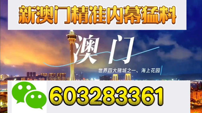 新澳門開獎結果，探索與解析，新澳門開獎結果深度解析與探索